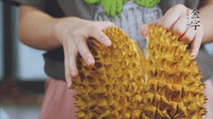 榴蓮剝好肉后，搗成泥狀。