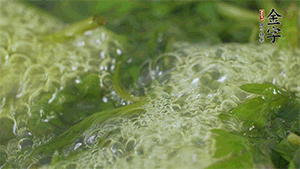 艾草葉放入煮沸的水中，加點(diǎn)食用堿，待變成深綠色時(shí)撈出，放入冰水中，瀝干備用。