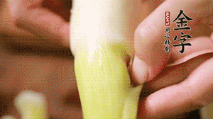 茭白剝?nèi)ネ鈿?，先切片再切絲。