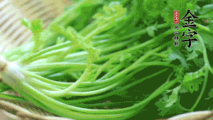 挑選鮮嫩的香菜，洗干凈后，處理成小段。