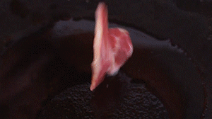 鍋中倒入橄欖油燒熱，放入淡火腿小火煸炒至打卷狀態(tài)。