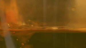 雞肉、鹽、料酒入冷水鍋水開后撇去浮沫，溫水洗凈。