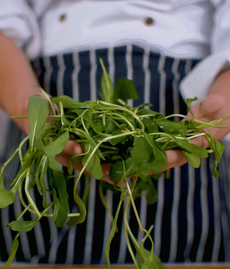 馬蘭頭焯水，切成細(xì)末。