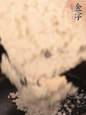 浸泡半天的糯米電飯鍋煮熟。